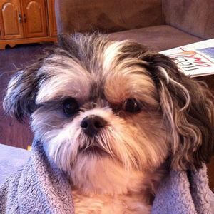 Meet your Posher, Joanne